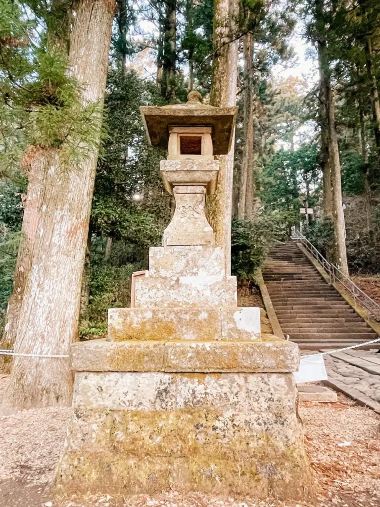 A stone lantern in a forest next to a set of stone steps.