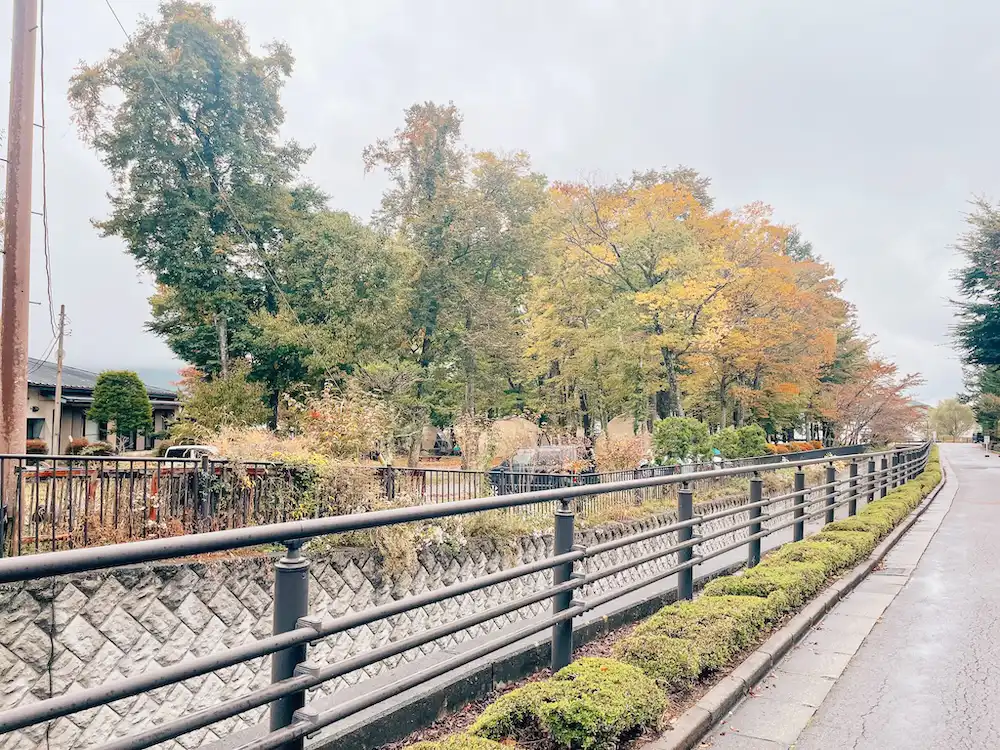 A road in Lake Yamanaka next to houses and surrounded by trees